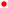 danas